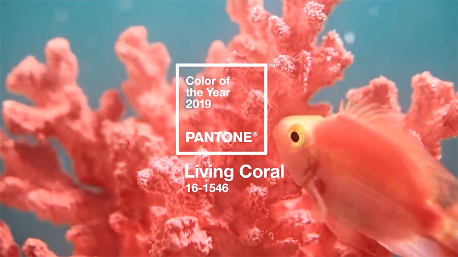 living corall - az év színe